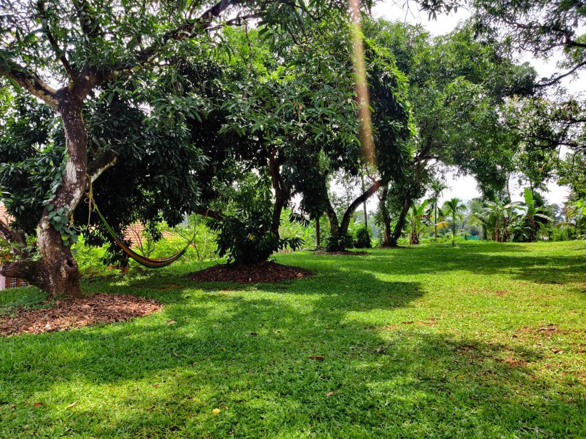 Carmel Tourism Village Kotamangalam Extérieur photo