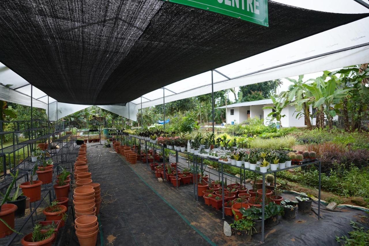 Carmel Tourism Village Kotamangalam Extérieur photo